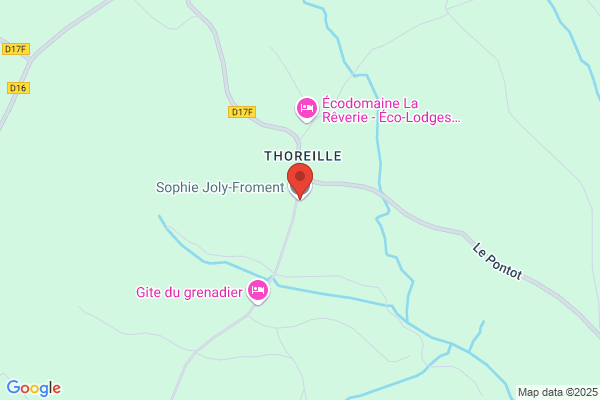Joly Froment Sophie