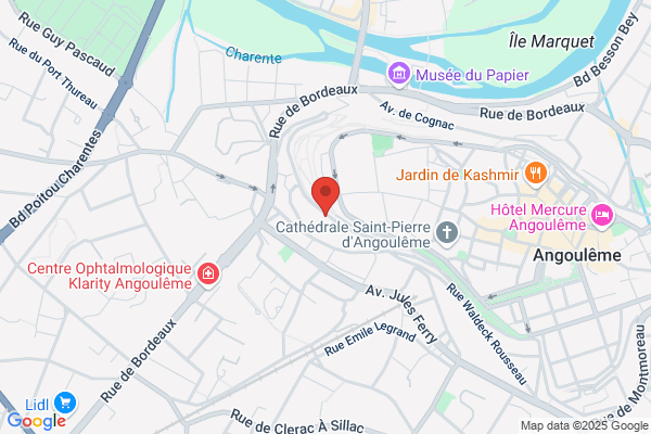 Hirsch Jean Jacques Chir Vasculaire