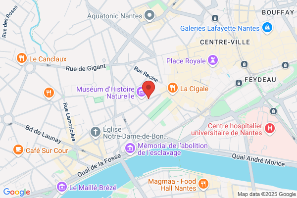 Institut D Etudes Astrologiques Iea