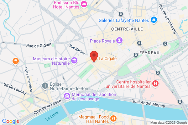 Cafe Brasserie Francois Ii