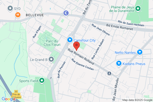 Hockey Comite Departemental De Loire Atlantique