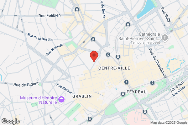 Cannaferina Michel Dentiste