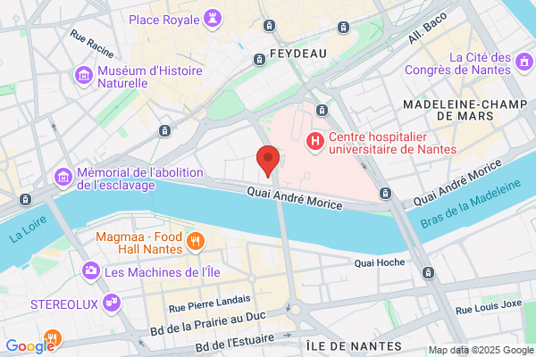 Faculte De Nantes