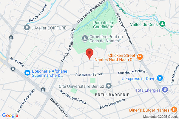 Hopitaux Du Chu De Nantes Centre Hospitalier pedopsychiatr
