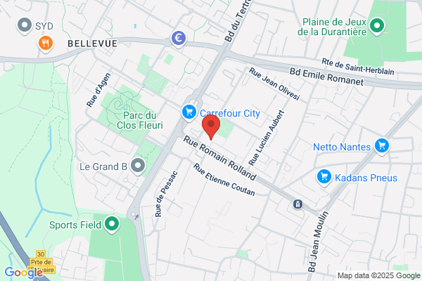 Comite Dep Badminton De Loire Atlantique