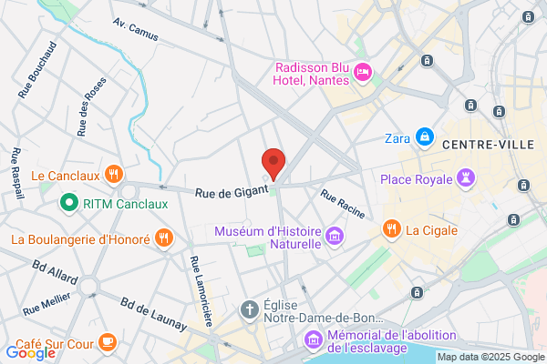 Cour Administrative D Appel