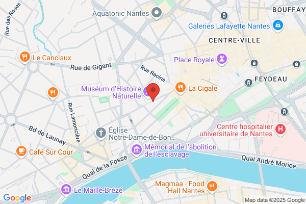 Au Fil Des Mailles
