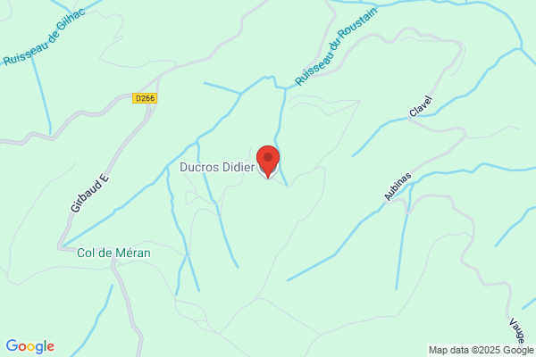 Ducros Michel