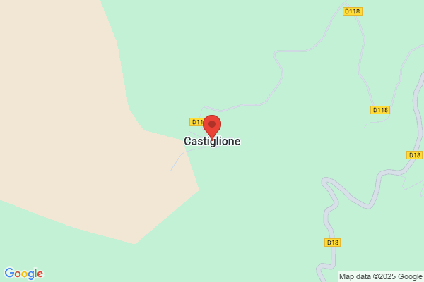 Cours Castiglione