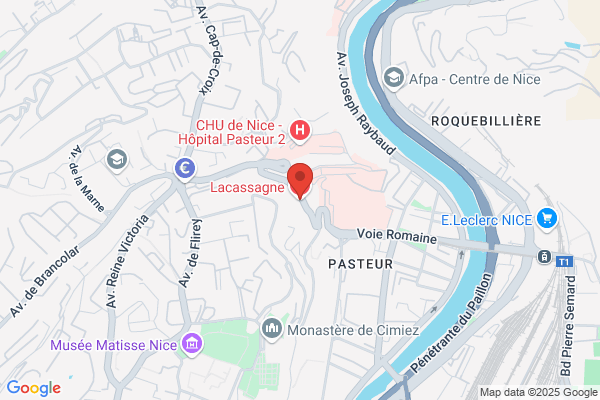 Centre Antoine Lacassagne Service D Hospitalisation De Sem