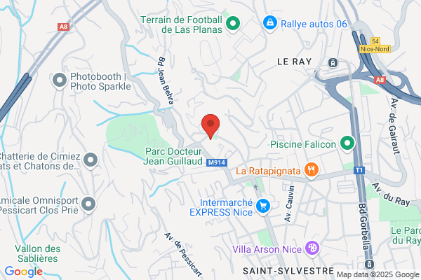 Association Sportive Saint Etienne