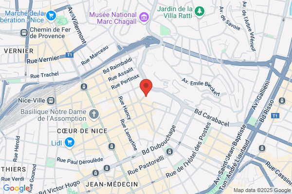 Berlitz Cartes Et Guides