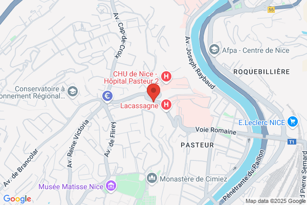 Internat Des Hopitaux De Nice