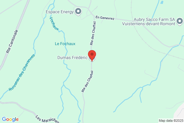 Dumas Frederic