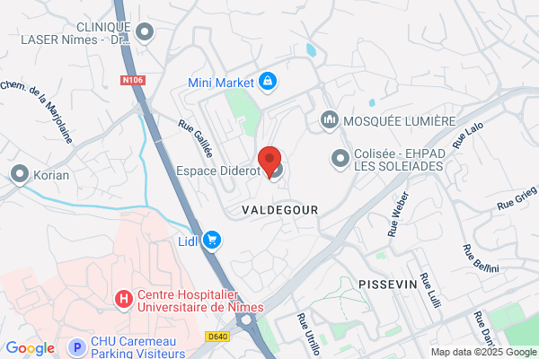College Diderot