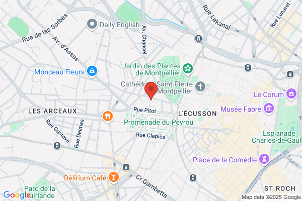 Antenne Universite Montpellier Iii Arts Lettres Langues science