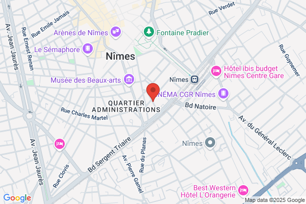 Brigades Regionales De Verification