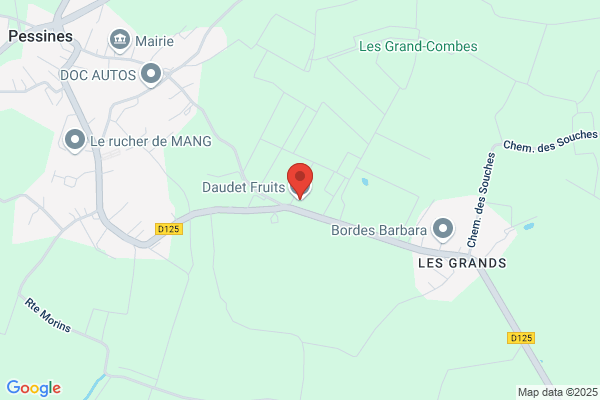 Daudet Jacques