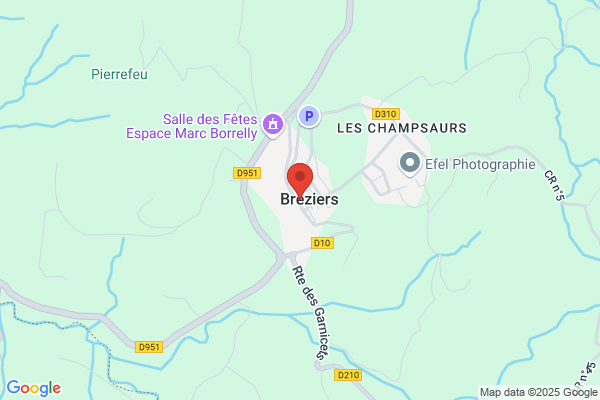 Borrelly Pierre