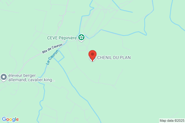 Chenil Du Plan