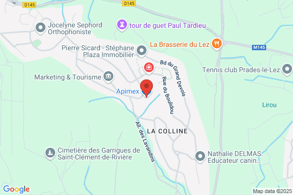 Apimex Ste