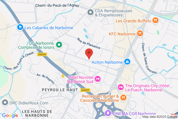 Rapid Pare-Brise NARBONNE