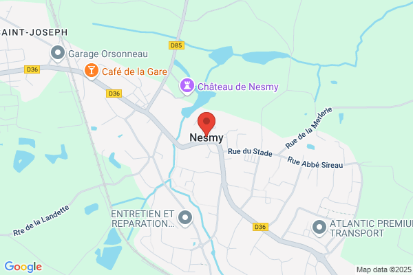 NES VENDEE VIS'YON