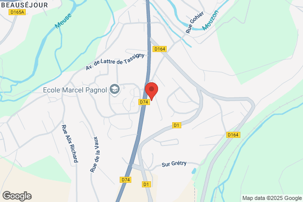 Renault/Dacia Neufchateau - Groupe Reuchet
