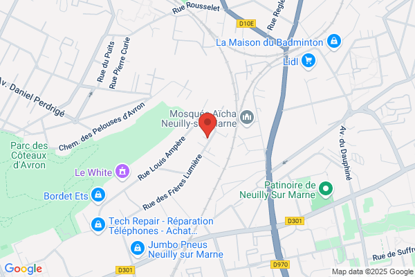 Dems Diesel Electricite Mecanique Systeme