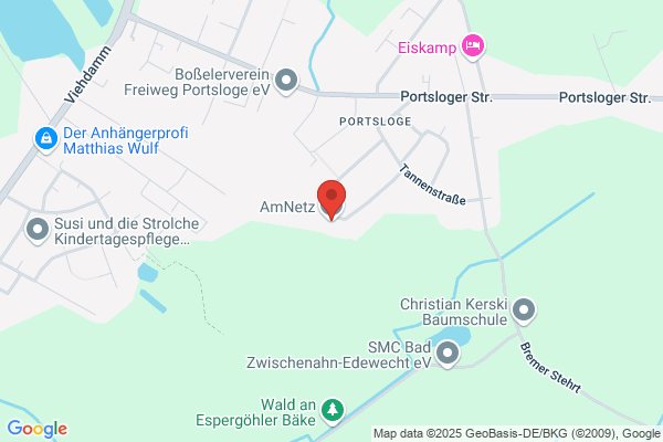 AM NET SERVICES
