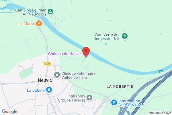 CHATEAU DE NEUVIC