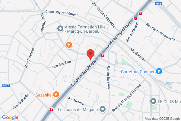 Adep Agent Detective Enqueteur Professionnel