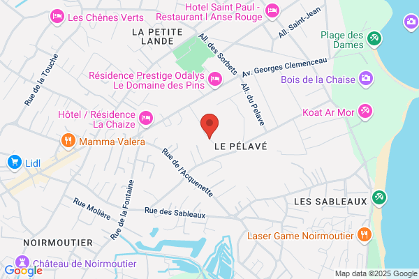 Hotel Restaurant Chateau Du Pelave
