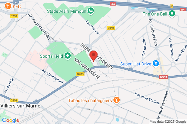 LA LIGUE DES AVENGERS DE PARIS
