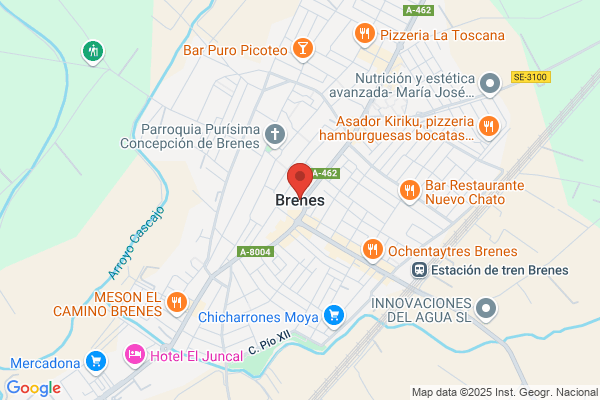 Brenes Bayardo