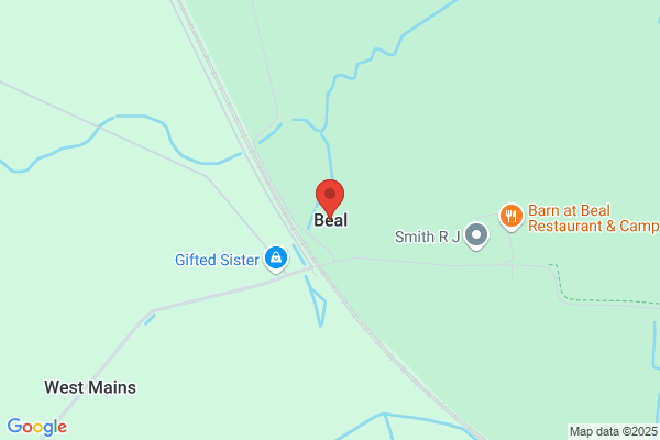 Beal Louis