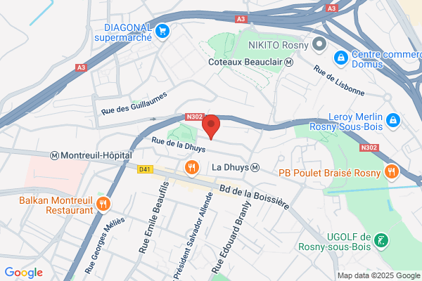 Brandicourt Jerome