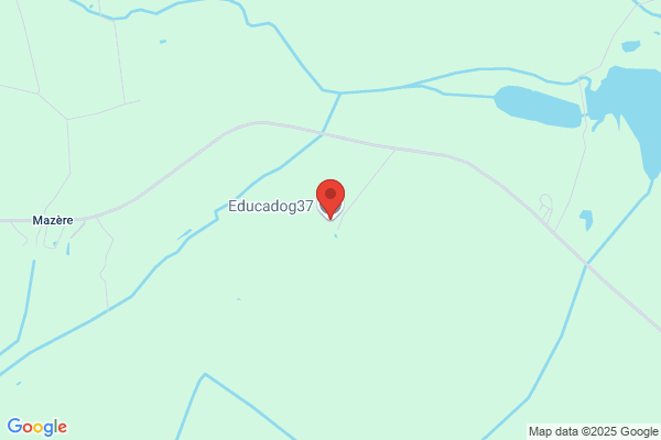 Educadog37
