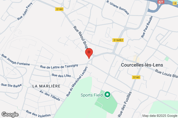 Bricout Luc Medecin