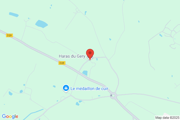 Gauffreteau Denis Haras Du Gery
