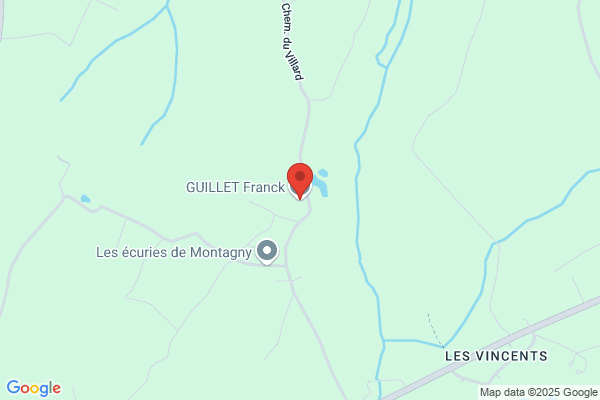 Guillet Franck