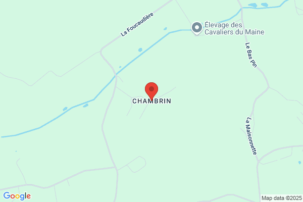 Chambrin Jean Luc
