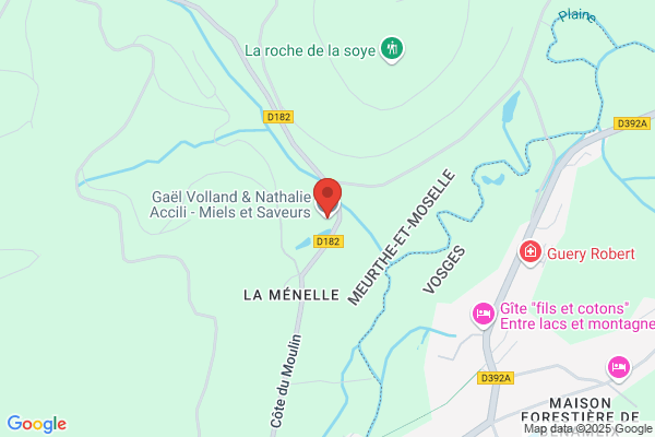 Abeille Loic Conseil