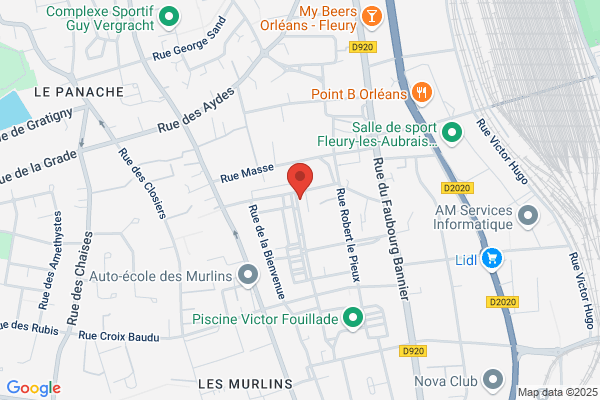 Bibliotheques Municipales Blossieres