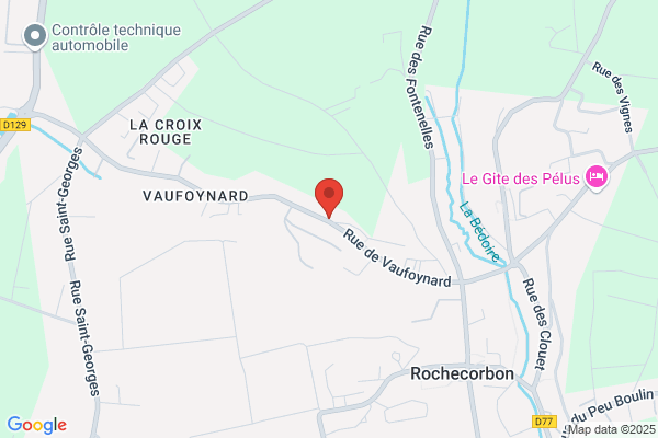 Cave Du Vignoble