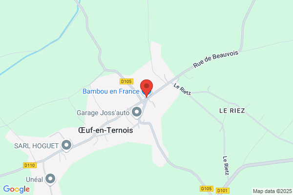 Le jardin des collines, les bambous en France