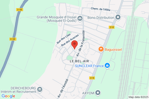 Association D Insertion Professionnelle Par Activites Mu