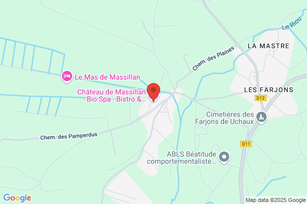 Chateau De Massillan