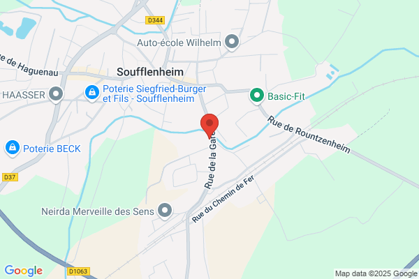 Clinique Veterinaire Des Docteurs Heitz Pascal Et Heitz r