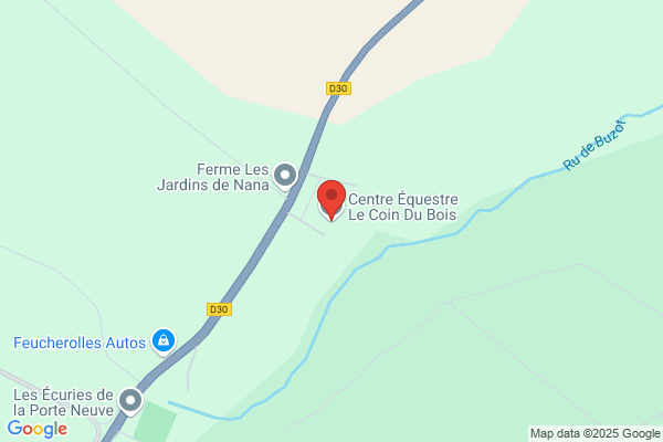 Cefy Centre Equestre Feucherolles Yvelines